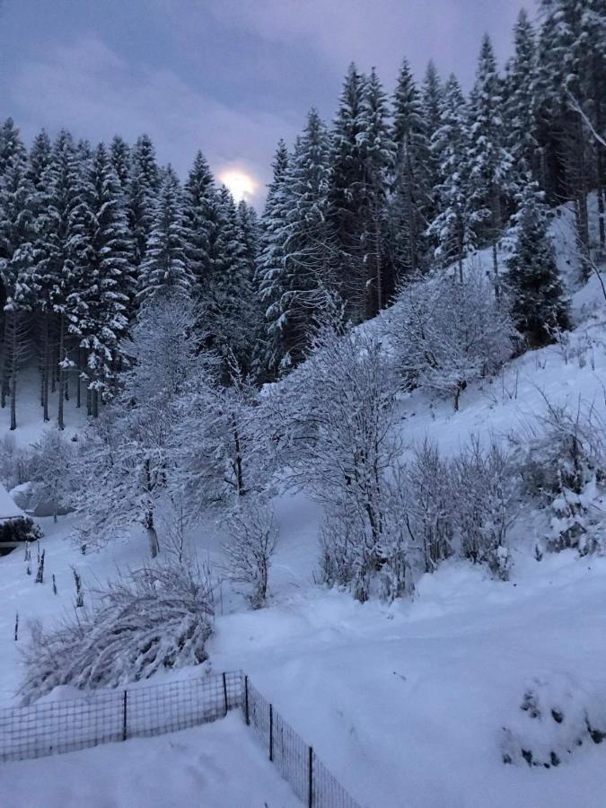 Apartma Vidovic Rateče Buitenkant foto